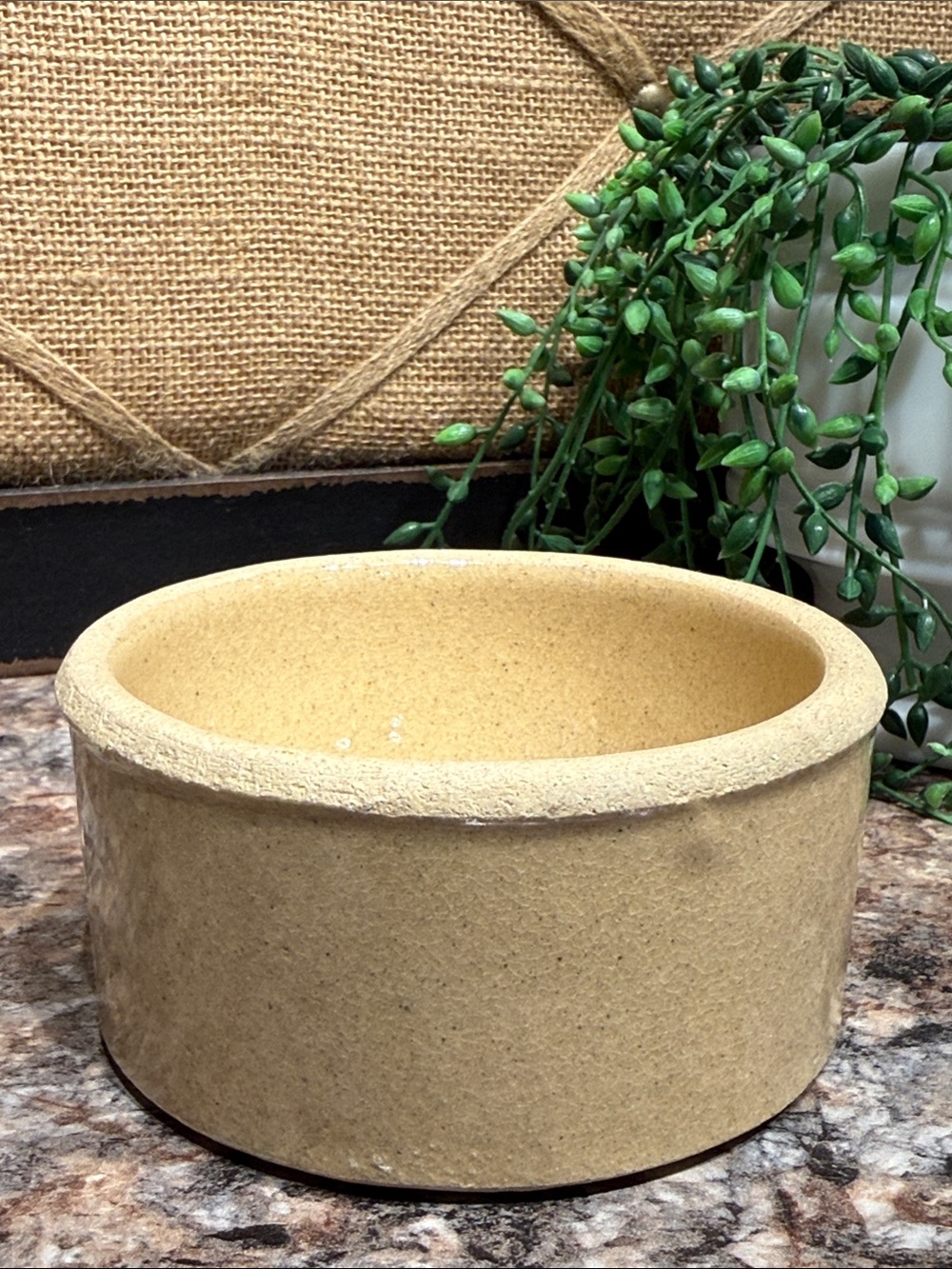 Vintage Robinson Ransbottom Pottery Co Bowl